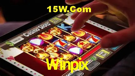 Sistemas de Segurança Winpix