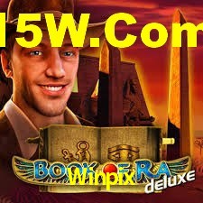 Premium Interface Winpix